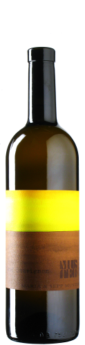 Muster - Sauvignon Blanc Graf 2022 *bio