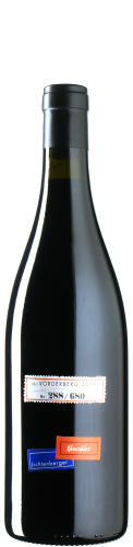 Lichtenberger & Gonzalez - Blaufränkisch Vorder Brunn 2021 *bio