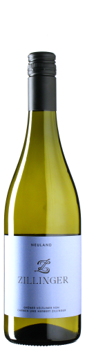 Zillinger - Grüner Veltliner »Neuland« 2025 *bio
