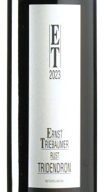 Triebaumer - Tridendron 2023