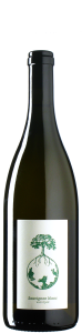 Werlitsch - Sauvignon Blanc vom Opok 2024 *bio