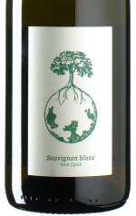 Werlitsch - Sauvignon Blanc vom Opok 2024 *bio