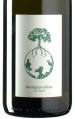 Werlitsch - Sauvignon Blanc vom Opok 2024 *bio