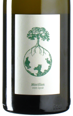 Werlitsch - Morillon vom Opok 2024 *bio