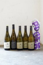 Knoll am Stein Kennenlernpaket (6 Fl.)