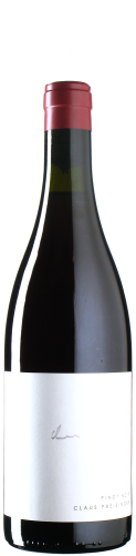 Preisinger - Pinot Noir 2024 *bio