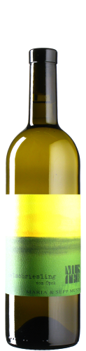 Muster - Welschriesling vom Opok 2024 *bio