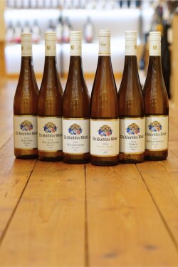 Bürklin-Wolf Kennenlernpaket inkl. Schlossberg P.C. (6 Fl.) *bio *L2