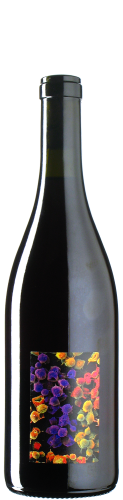 Allante & Boulanger - Gamay Montaizin 2024 *L1 *PC *U *V