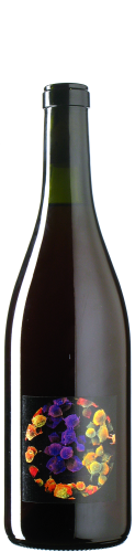 Allante & Boulanger - Pineau d‘Aulnis 1 plante à Huet 2024 *L1 *C
