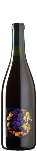 Allante & Boulanger - Pineau d‘Aunis 1 plante à Huet 2024 *L1 *C *U *V