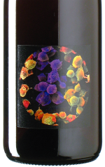 Allante & Boulanger - Pineau d‘Aulnis 1 plante...