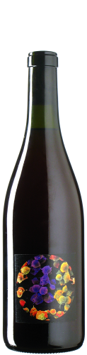 Allante & Boulanger - Pineau d‘Aulnis 2 Le Clos du Vau à Montrieux 2024 *L1 *PC *U *V