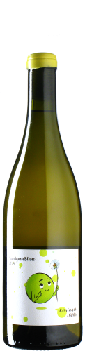 Kissinger-Bähr - Sauvignon Blanc 2024 *bio *L6
