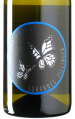 Johannes Zillinger - Velue Weiss 2025 *bio