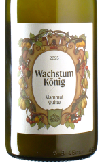 Wachstum König - Mammutquitte 2025 *bio
