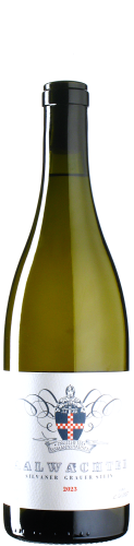 Saalwächter - Silvaner Grauer Stein 2023