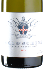 Saalwächter - Silvaner Grauer Stein 2023