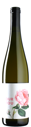 Jurtschitsch - Grüner Veltliner Amour Fou 2022 *bio