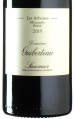 Guiberteau - Cabernet Franc Brézé Les Arboises 2019