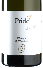 Dr. Wunderer - Pride 2024 *bio