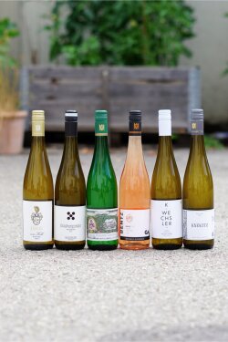 »Sommerweine für unter 15 Euro« (6er Paket)
