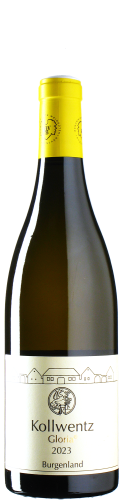 Kollwentz - Chardonnay Gloria 2024 *bio