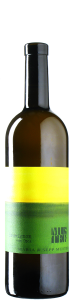 Muster - Sauvignon Blanc vom Opok 2024 *bio