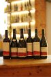 Discover Gerhard Markowitsch (6 bottle tasting set)