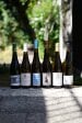 »Deutsche Gutsrieslinge« (6er Paket)