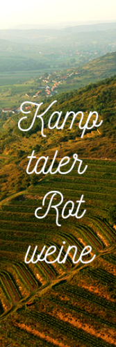 »Kamptaler Rotweine« (6er Probierpaket)