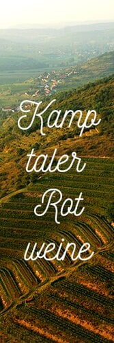»Red wines from Kamptal« (6 bottle tasting set)