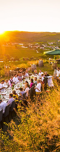 »Kamptaler Veltliner Vielfalt« (6er Probierpaket)