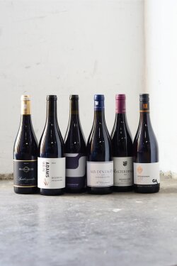 »Deutsche Spätburgunder Best Buys« (6er Paket)