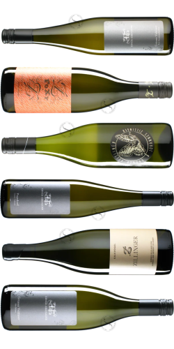 »Weinviertler Veltliner« (6er Probierpaket)