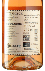 Zillinger - Rosé Spring Break 2019 *bio